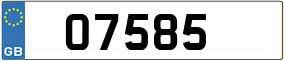 Truck License Plate